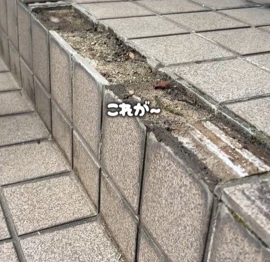 【築35年戸建DIY】お隣さんのために!ボロボロのタイルの補修に初挑戦→見違えるような光景に