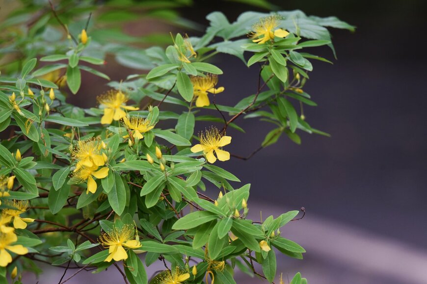 undefined undefined/istockphoto.com