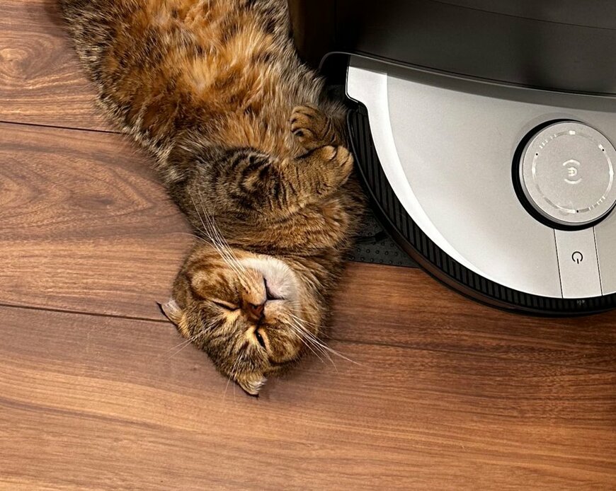 出所：@ponpokopontanu