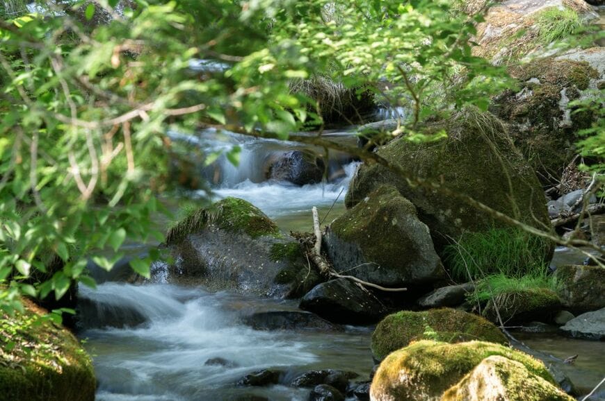 【不思議】山梨県と静岡県の県境で見つけた〈謎の石碑〉に反響続々。多様な推測が集まる
