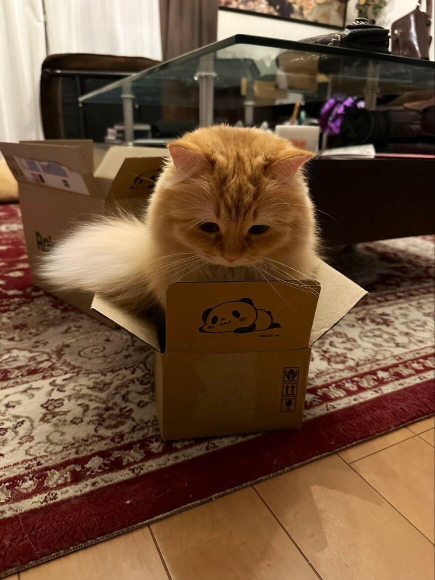 出所：@NEKOLAND13