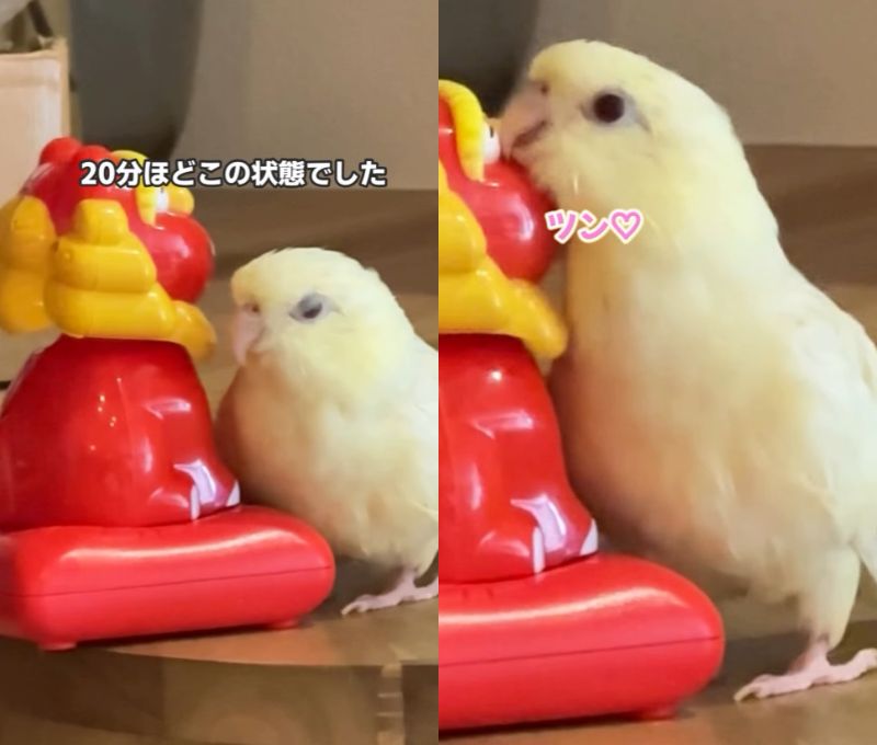 出所：@daiinkoteikoku_soraoto