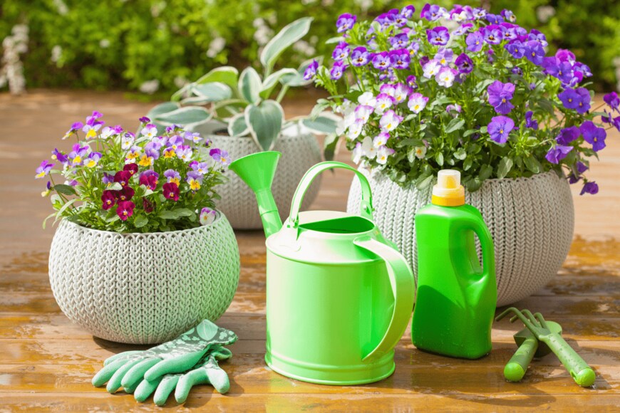 Olga Miltsova/shutterstock.com