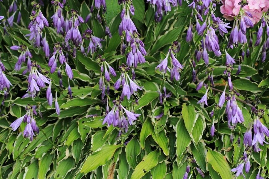 Traveller70/shutterstock.com