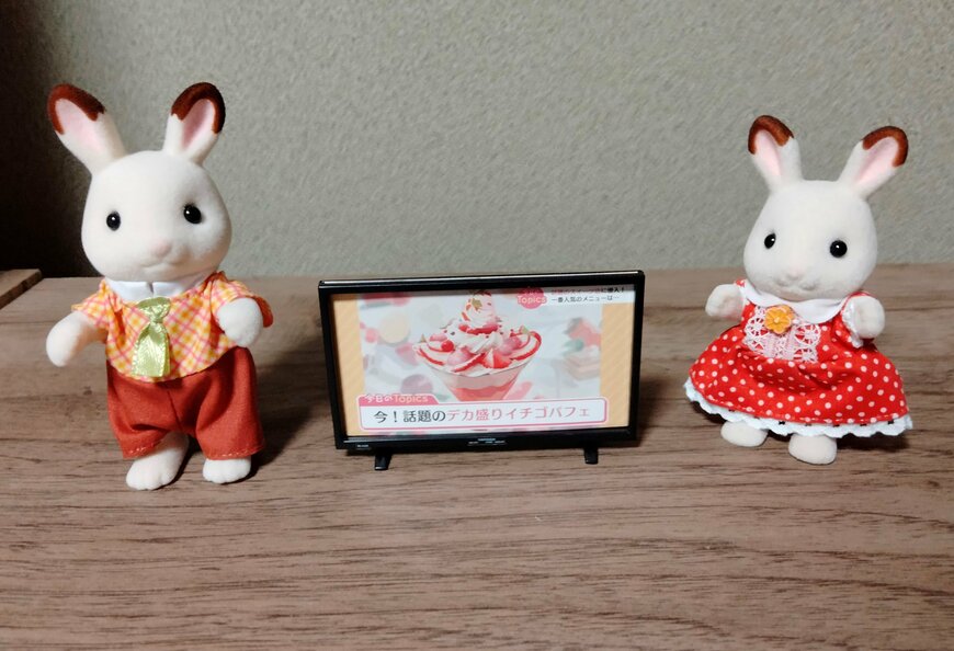 筆者撮影（山田化学株式会社、ミニチュア　テレビ）