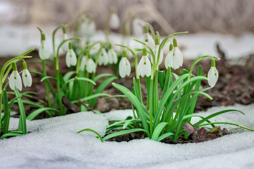 Leka Sergeeva/shutterstock.com