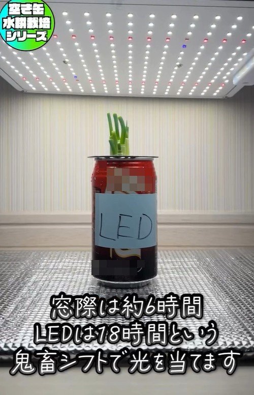 出所：mikanbo_ya19_87