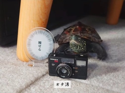 出所：＠kusa.kame.gunso