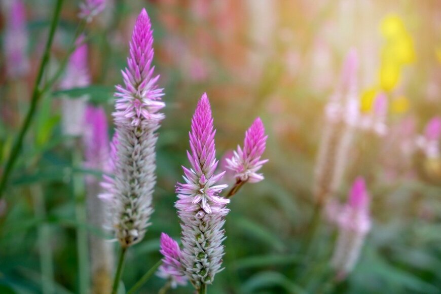 Images we create and what actually happens are always beautiful when we have imagination./istockphoto.com