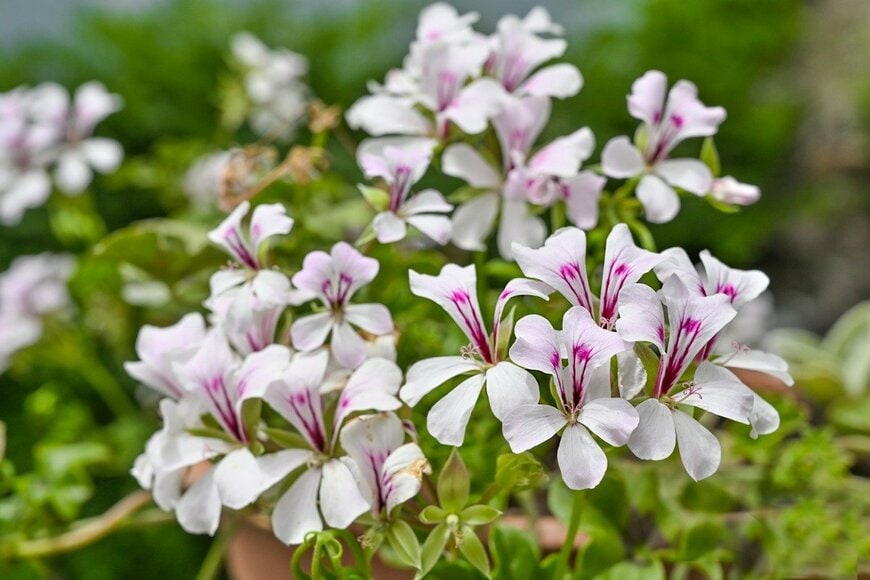 Paolo Gagliardi/istockphoto.com