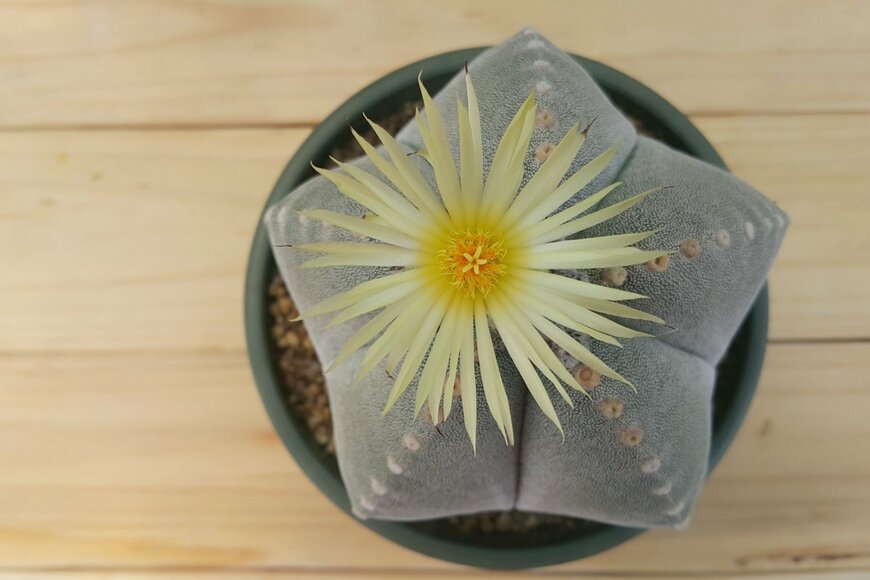 InkHeart/shutterstock.com