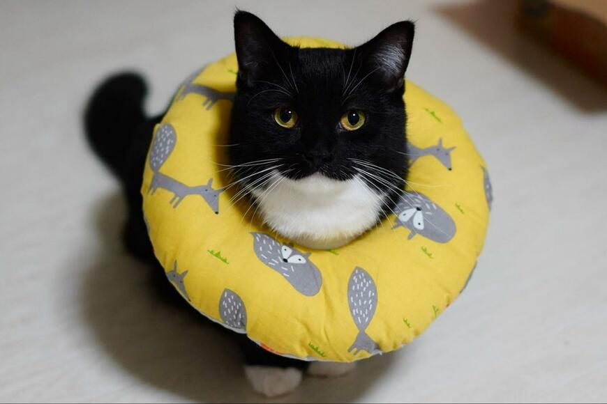 出所：@unicouniuni3