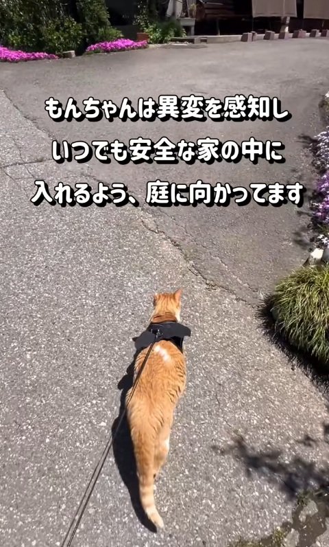 出所：@monburan_sanpo