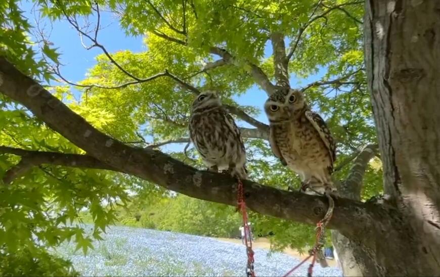 投稿動画のワンシーン