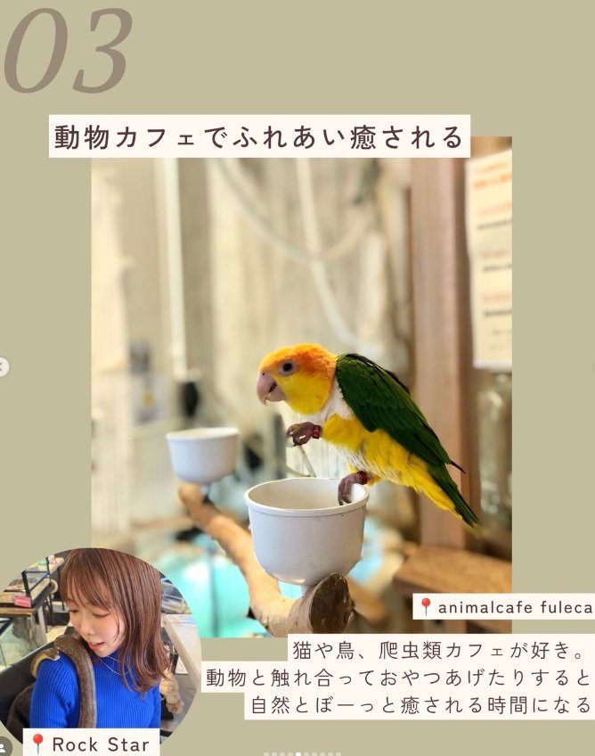 動物と過ごす癒しの時間「animalcafe fuleca」「Rock Star」