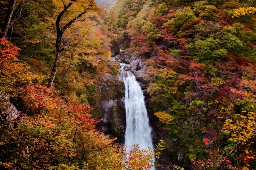 紅葉時の秋保大滝