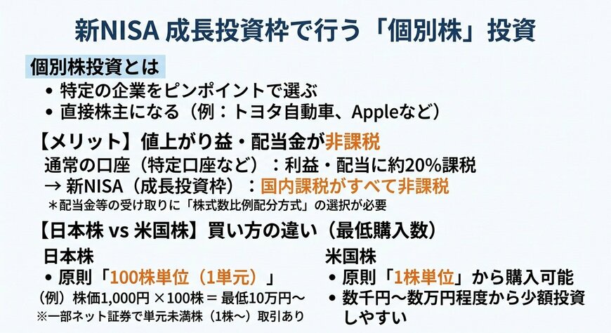 新NISAの成長投資枠で「個別株」を選ぶメリットと日米の違い