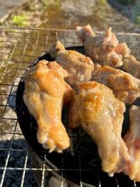 「そろそろ焼けたんじゃない？」お肉を待つ土佐犬の期待顔がキュート！気持ちダダ漏れの神ショット　「期待いっぱいのおめめ」が反則級に可愛い