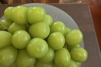 ブドウを見て「自分も食べられる」と思った犬　飼い主が「想像した5倍ヘラヘラした顔」に思わずツボってしまう