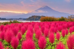 10月は年金支給【シニアの年金一覧】60歳～90歳以上「厚生年金と国民年金」年金月額の平均はいくら？