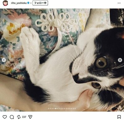 吉岡里帆のInstagram投稿