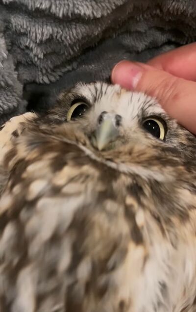 投稿動画のワンシーン