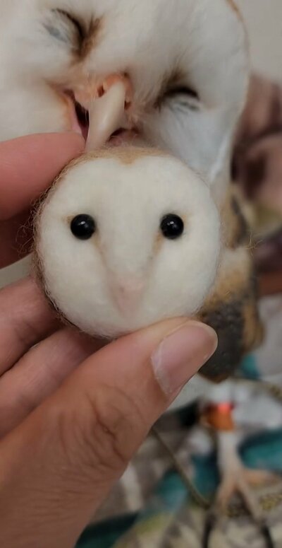 投稿動画のワンシーン