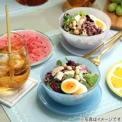 ニトリ公式通販ニトリネット ミルクガラス風プレート(NR04)商品画像