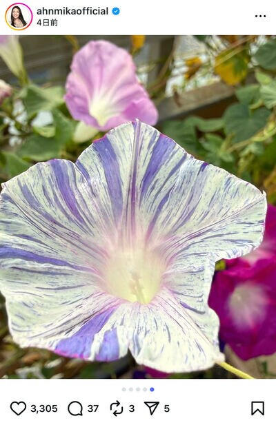 アンミカのInstagram投稿