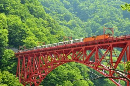 富山で見つけた立食い“そば”と“うどん”の融合に目を奪われる「これは衝撃」の声