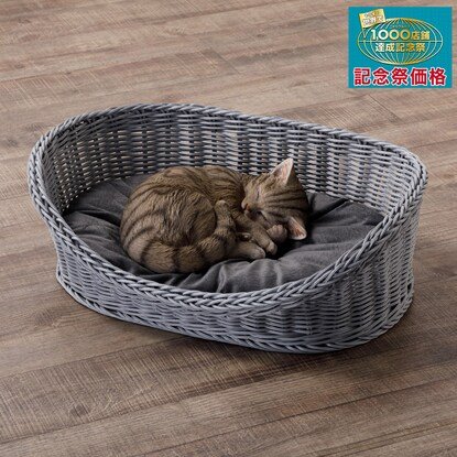 洗えるPPペットベッド(M)商品画像