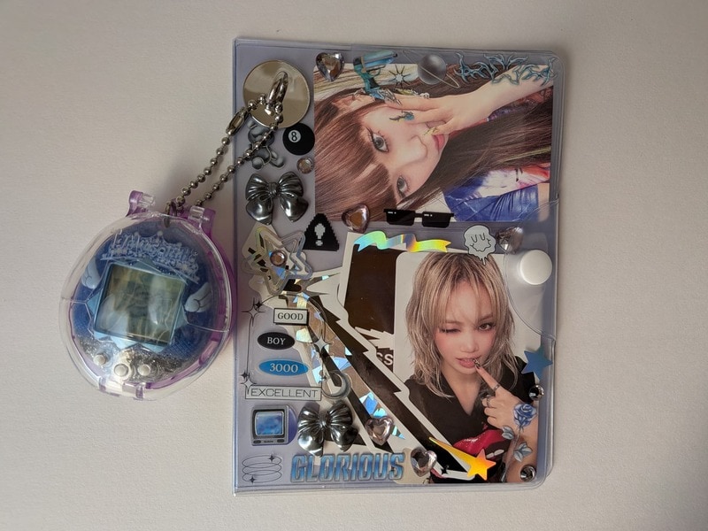 ダイソー　保険証・お薬手帳カバー