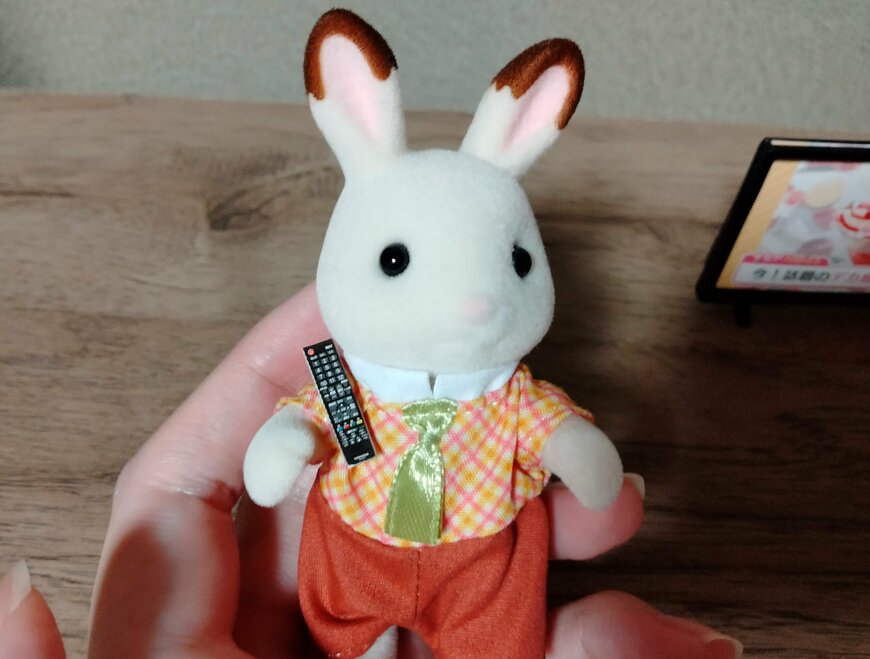 筆者撮影（山田化学株式会社、ミニチュア　テレビ）