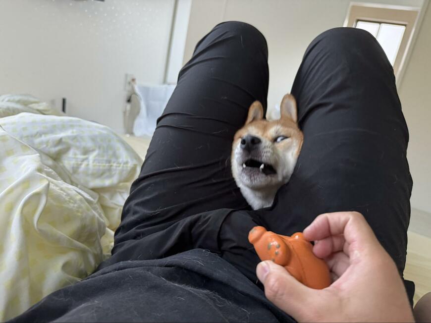 出所：@wasabimutimuti