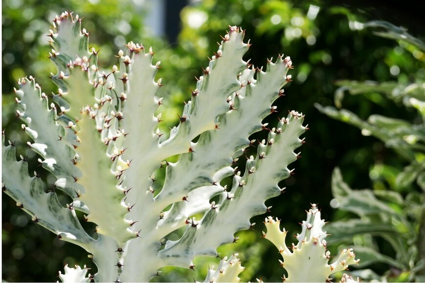 honeymonster/shutterstock.com