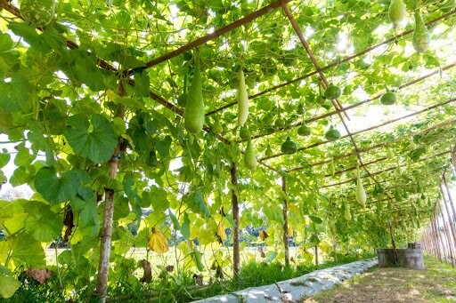 SomeSense/shutterstock.com