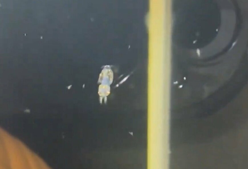 出所：@0909_masuko