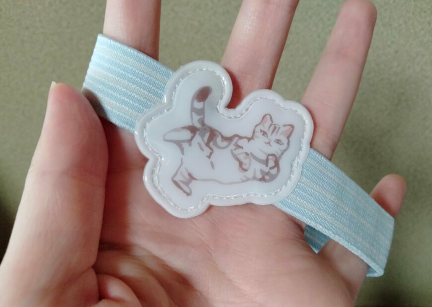 筆者撮影（キャンドゥ、キャットライフ　ランチベルト）