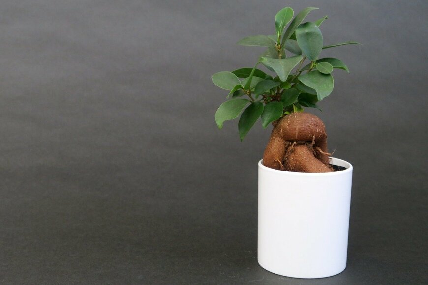 Picturesque Japan/istockphoto.com