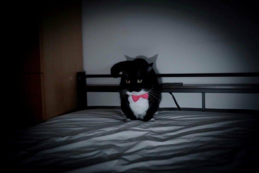 出所：＠unicouniuni3