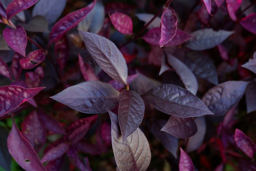 Sije18/istockphoto.com