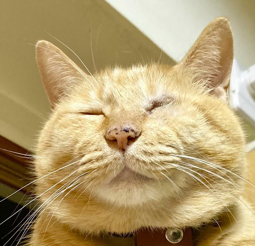 出所：@luna7taka9