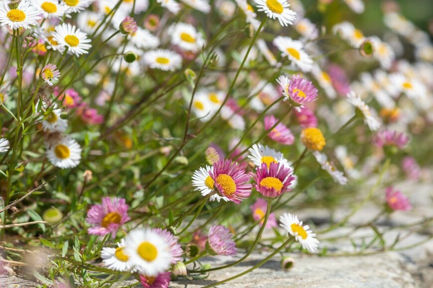 Tom Meaker/istockphoto.com