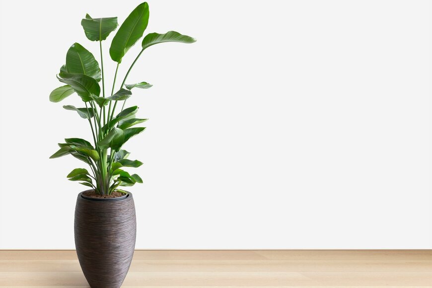 dropStock/Shutterstock.com