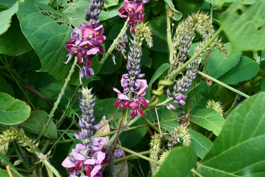 High Mountain/shutterstock.com