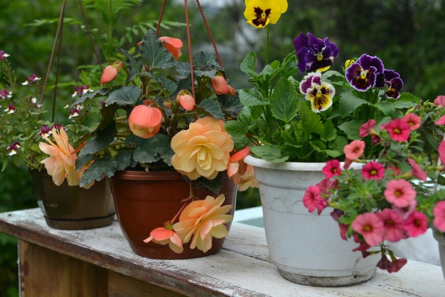 VeraPetruk/istockphoto.com