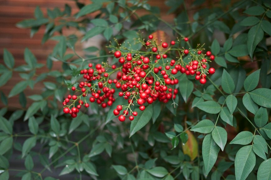 seven75/istockphoto.com