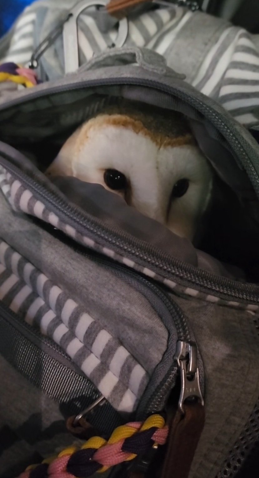 出所：@miki4wan108