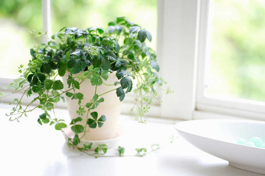 gyro/istockphoto.com