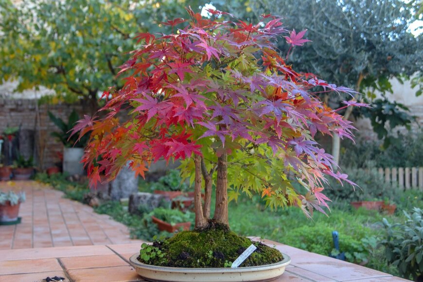 drgi/shutterstock.com